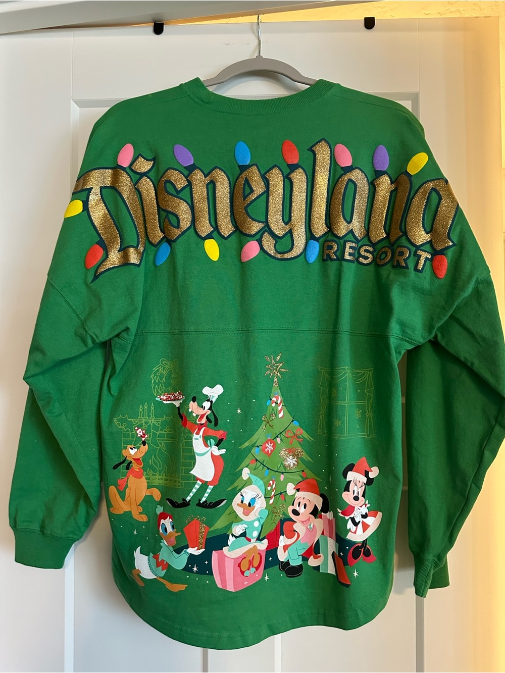 Disneyland Holiday Spirit Jersey